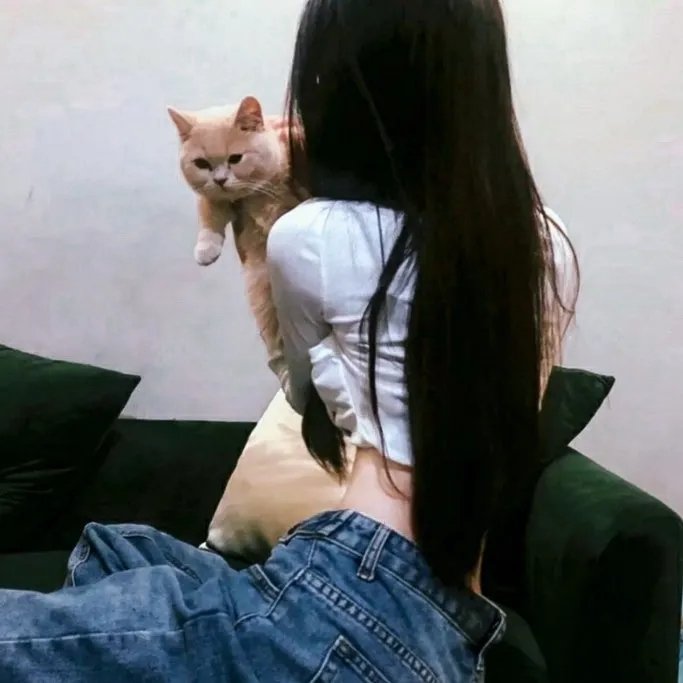 西线兵魂